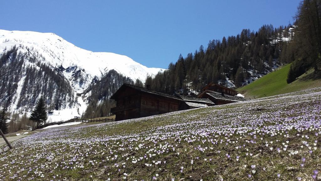 Giatla Hof Der Alfenalm - Ferienwohnungen Am Berg Innervillgraten Kültér fotó